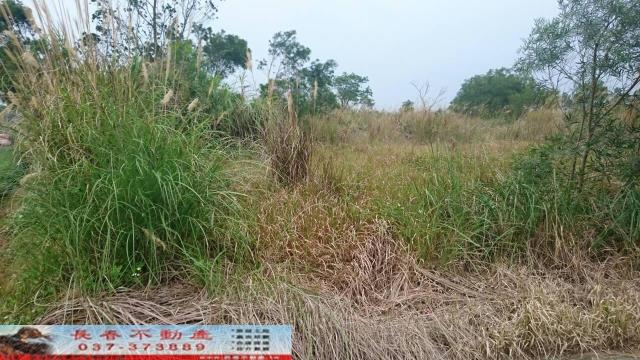 苗栗農地-2