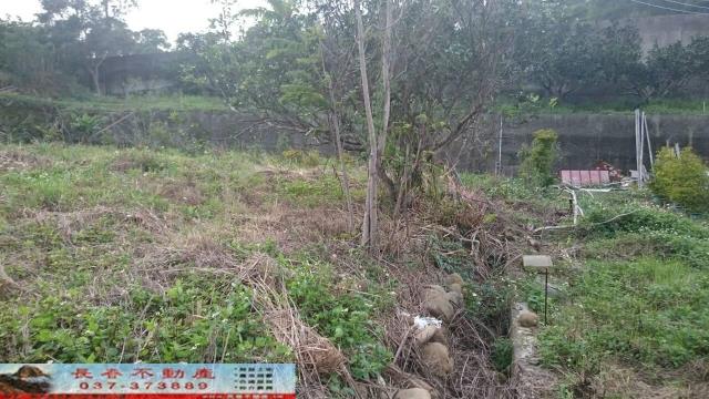 苗栗農地-3