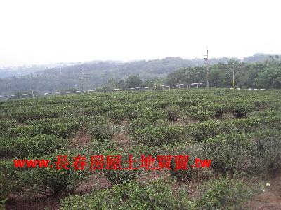 苗栗農地-3