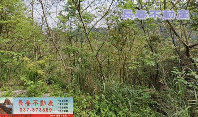 苗栗農地-2