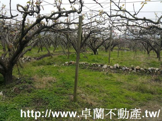 苗栗農地-1
