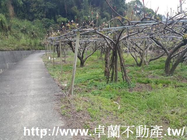 苗栗農地-3