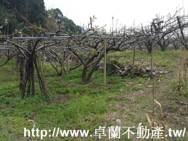 苗栗農地-4
