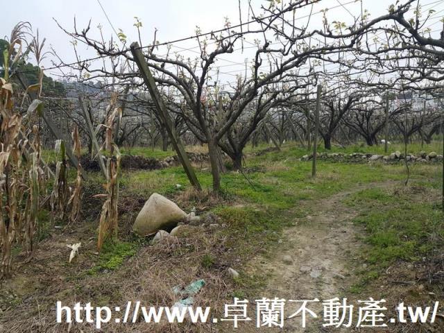苗栗農地-6
