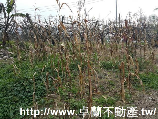 苗栗農地-7