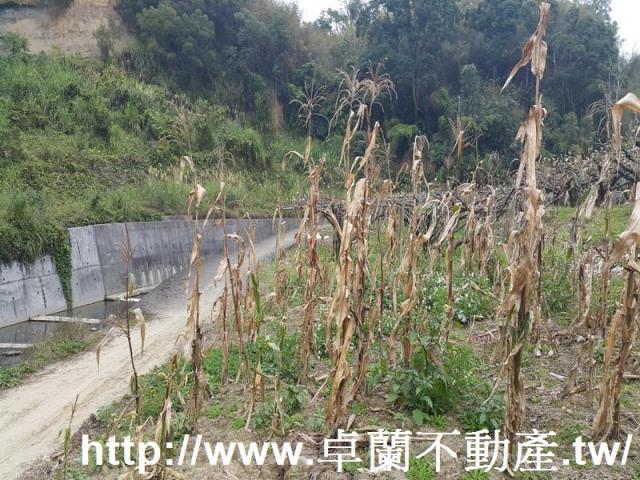 苗栗農地-8