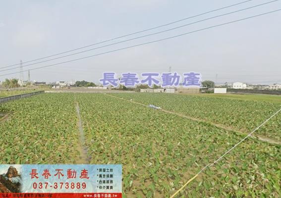 苗栗農地-1