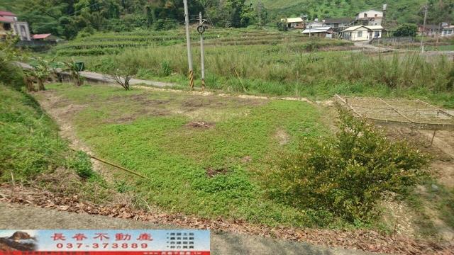 大湖農地-1