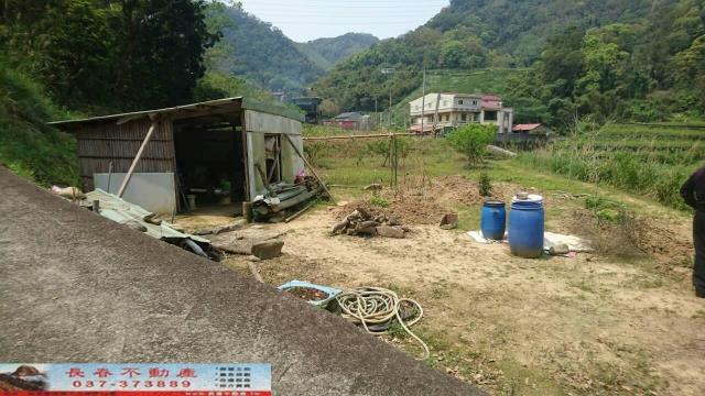 大湖農地-2
