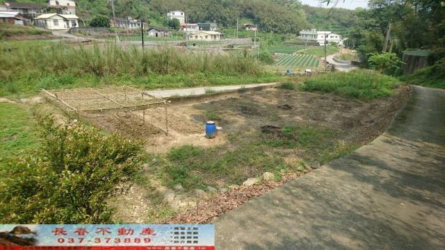 大湖農地-3