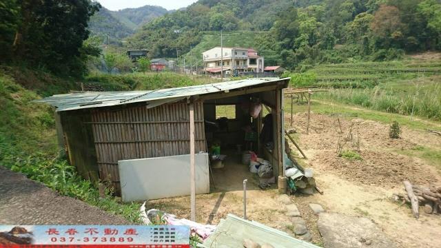 大湖農地-5