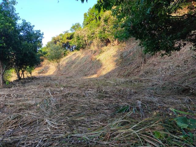新竹北埔農地-10
