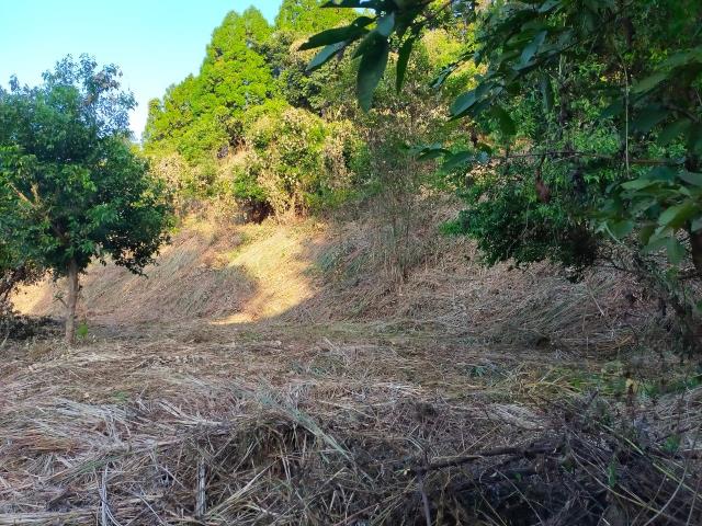 新竹北埔農地-11