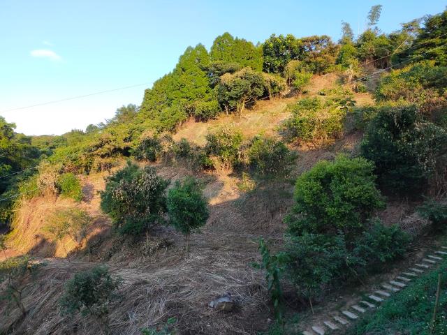 新竹北埔農地-12