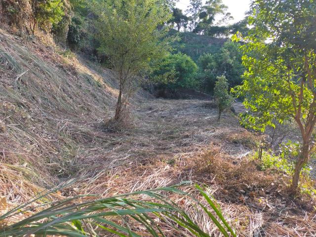 新竹北埔農地-9