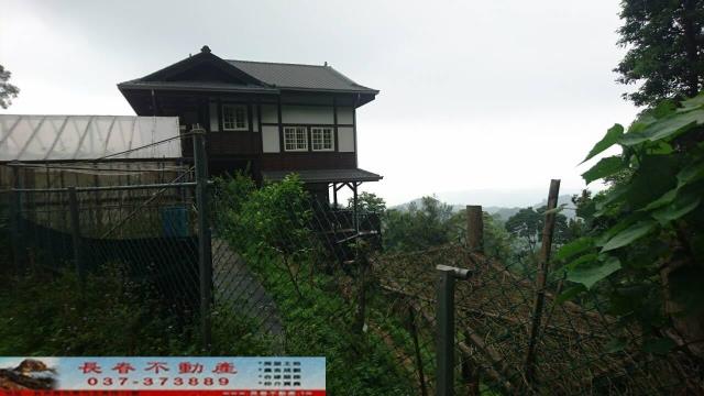 南庄林地-1