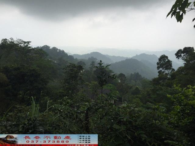 南庄林地-2