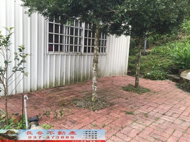 南庄林地-5