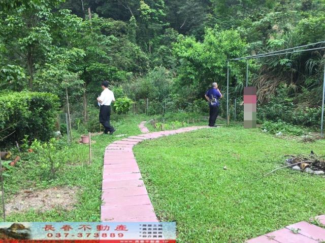 南庄林地-7