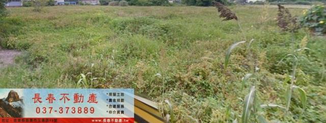 銅鑼農地-2
