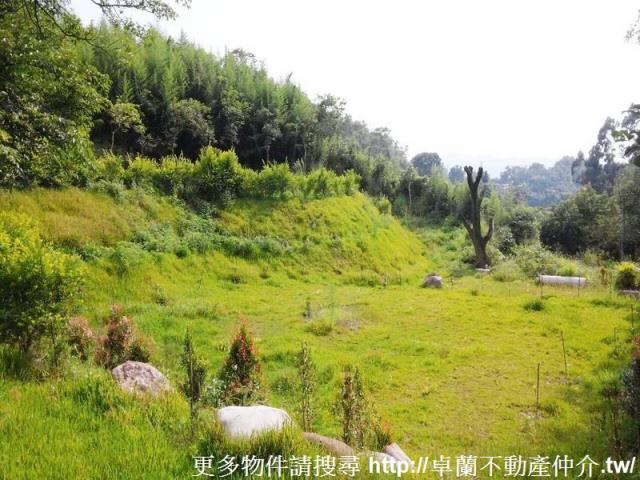 苗栗農地-1