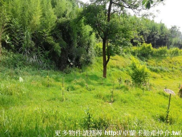 苗栗農地-3