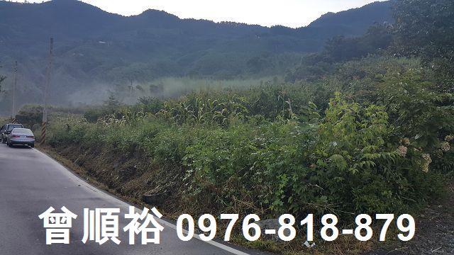 新竹五峰農地-4