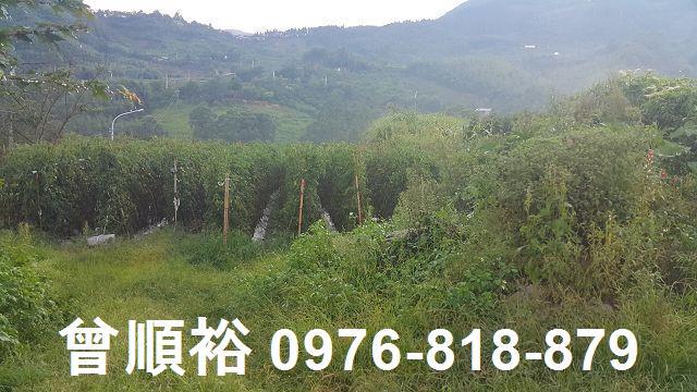 新竹五峰農地-5