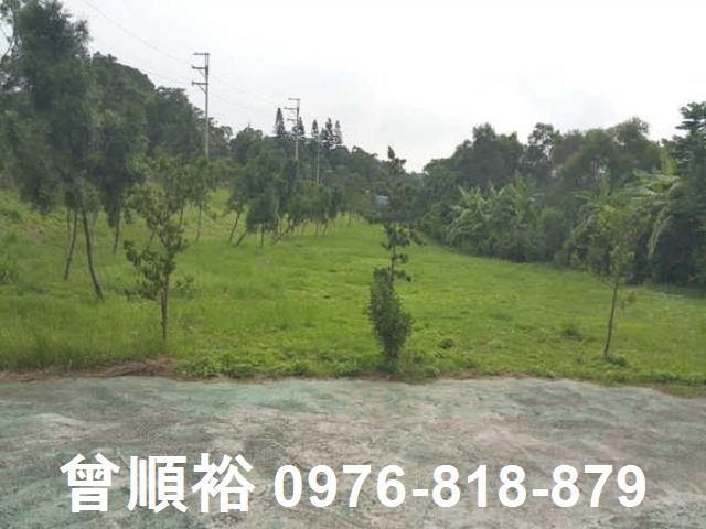 頭份農地-1