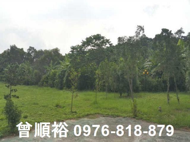 頭份農地-2