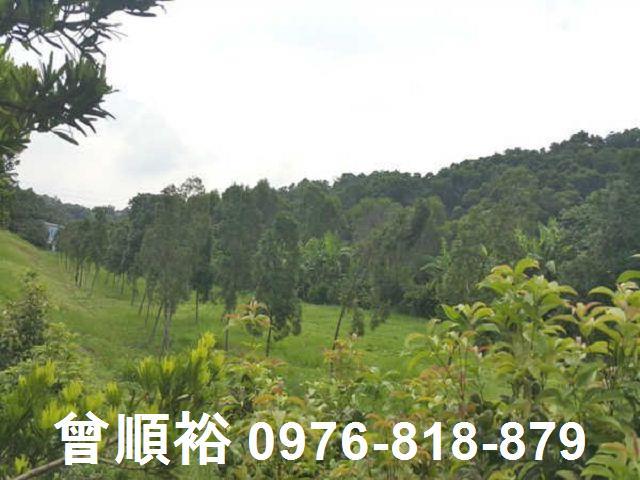 頭份農地-5