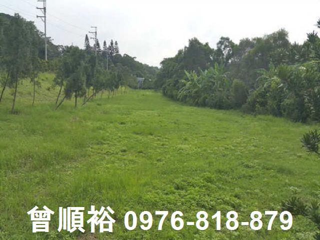 頭份農地-7