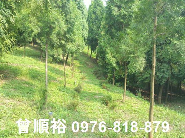 頭份農地-9