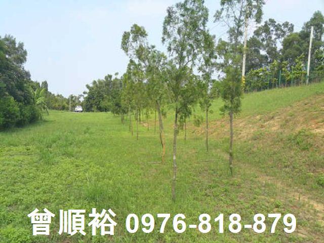 頭份農地-10