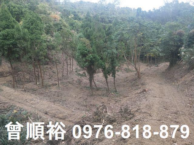 竹東農地-6