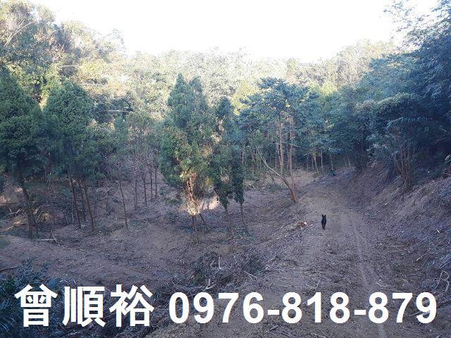 竹東農地-1