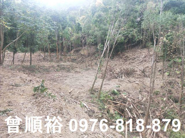 竹東農地-9