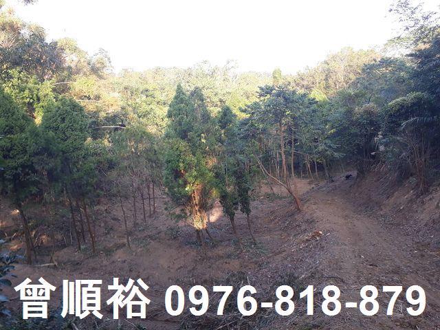 竹東農地-5