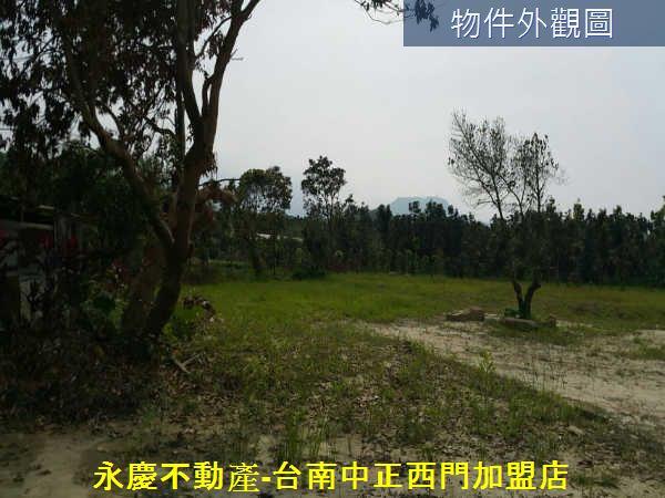 白河農地-4
