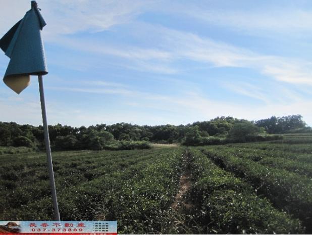 苗栗苗栗市農地-2