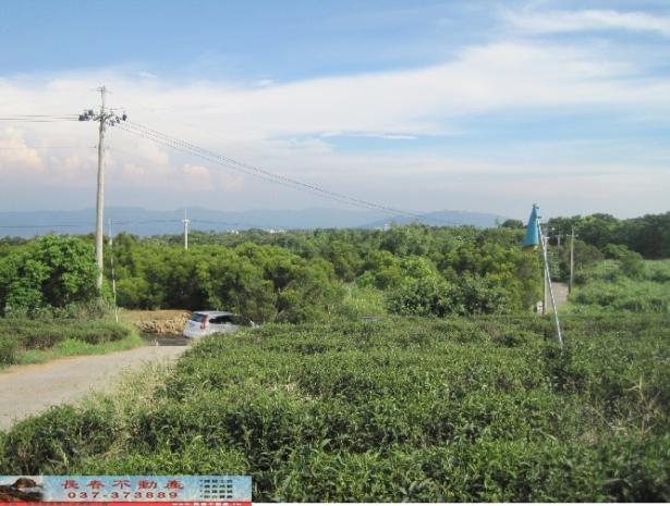 苗栗苗栗市農地-1