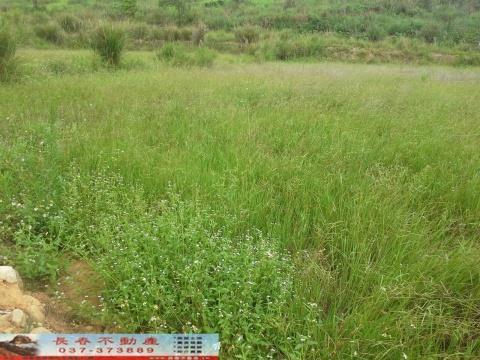 苗栗苗栗市農地-1