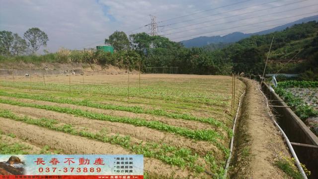 苗栗大湖農地-2