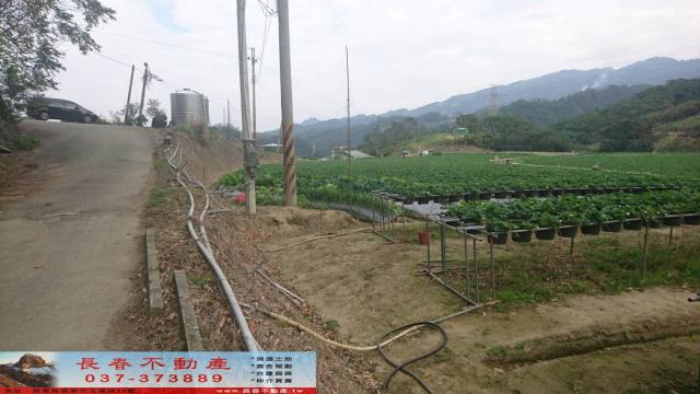 苗栗大湖農地-4