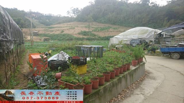 苗栗大湖農地-5