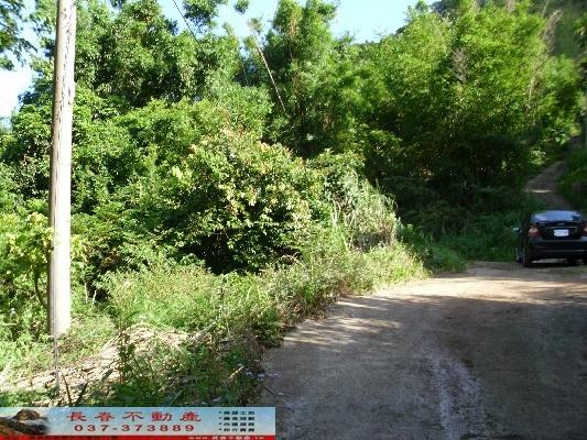 大湖農地-8