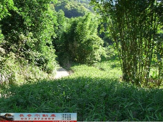 大湖農地-3