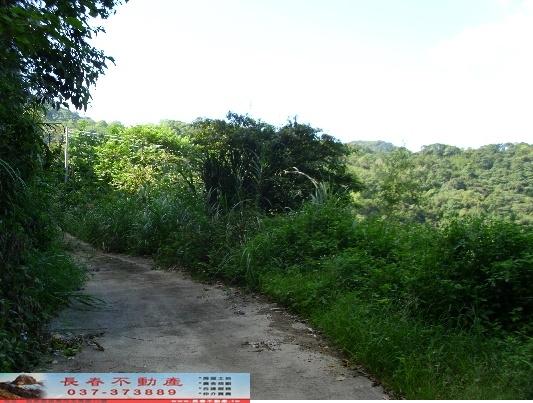 大湖農地-10