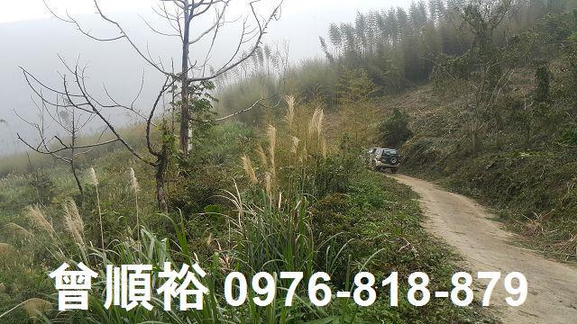 尖石農地-1