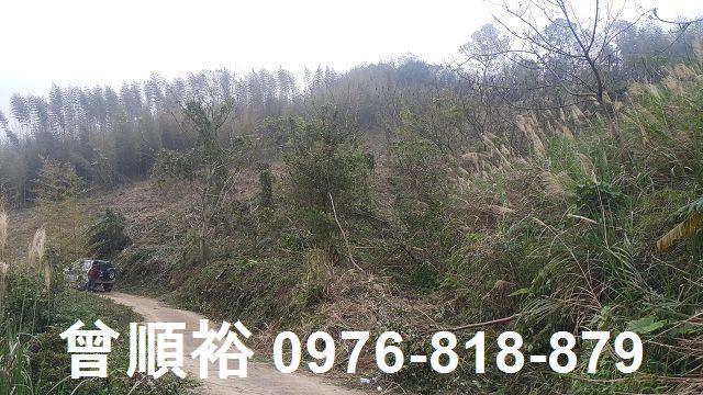 尖石農地-2